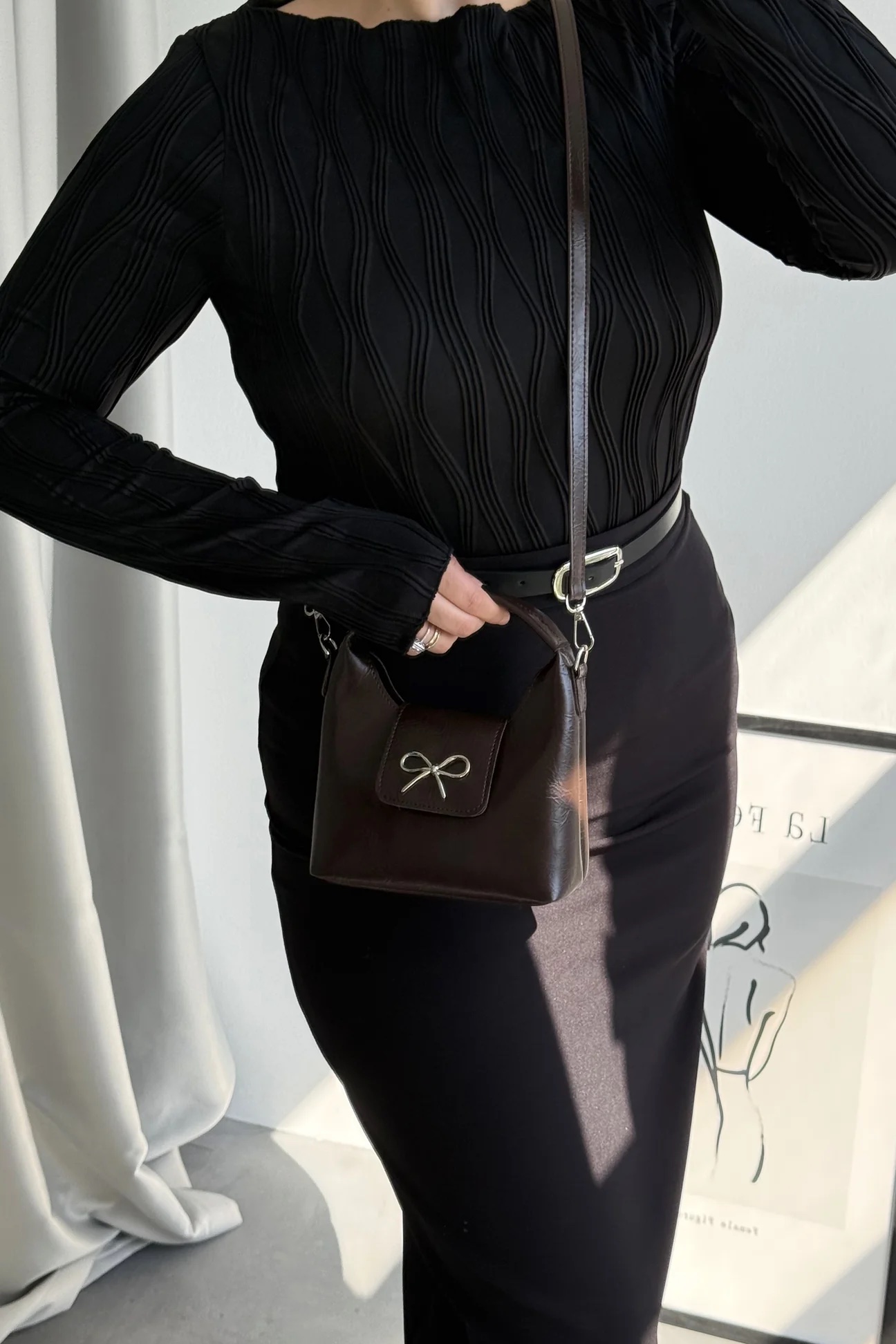 Papillon Marron - Image 3