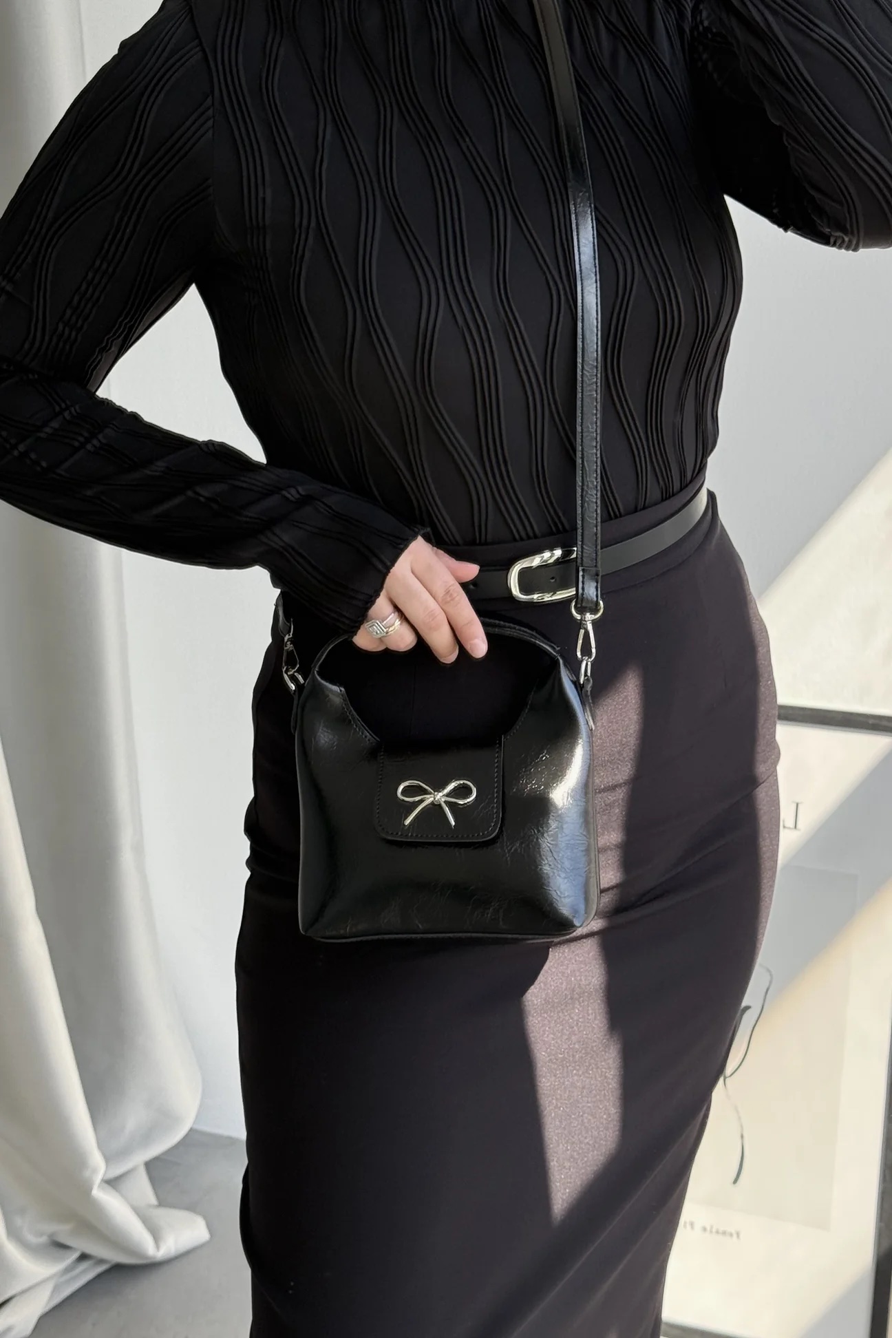 Papillon Black - Image 2